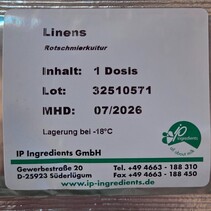 Brevibacterium linens W | Roodfloracultuur