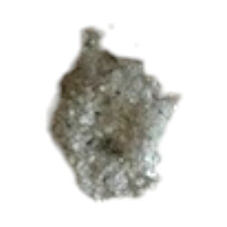 Penicillium roqueforti | Sigma 15