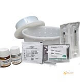 Hobby Kaas Zelf brie maken Set | Complete Kaas maak set met vorm, schimmels en instructie