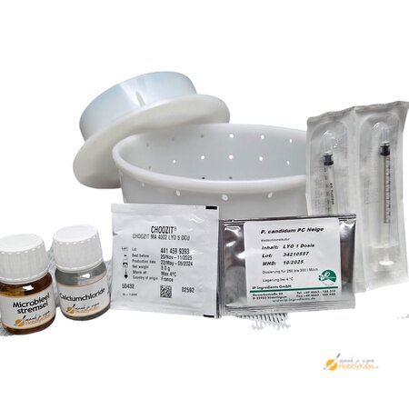 Hobby Kaas Zelf brie maken Set | Complete Kaas maak set met vorm, schimmels en instructie