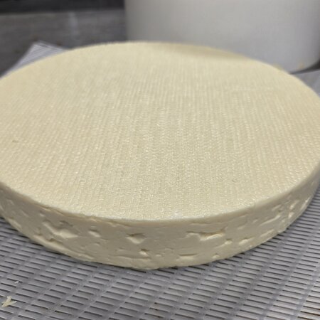 Hobby Kaas Zelf brie maken Set | Complete Kaas maak set met vorm, schimmels en instructie