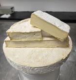 Hobby Kaas Zelf brie maken Set | Complete Kaas maak set met vorm, schimmels en instructie