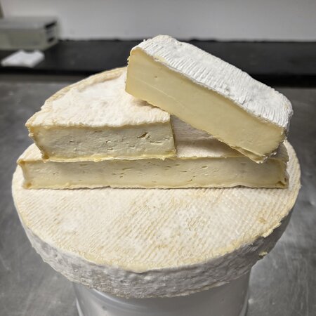 Hobby Kaas Zelf brie maken Set | Complete Kaas maak set met vorm, schimmels en instructie