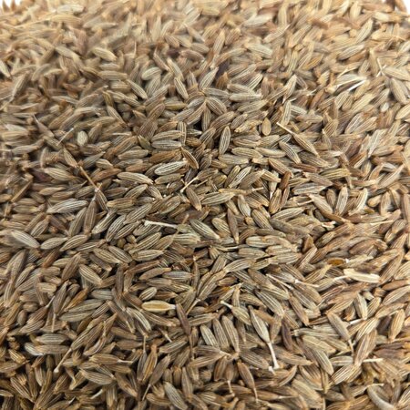 Hobby Kaas Komijnzaad | 100 gram