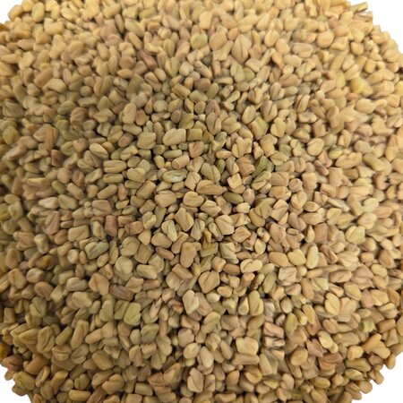 Hobby Kaas Foenegriek | Fenegriek