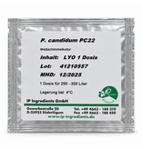 Eigen merk Penicillium candidum PC22 1D | Stabiele witschimmel voor Brie & Camembert