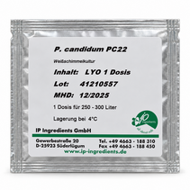 Penicillium Candidum Neige  PC22