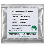 Penicillium candidum Neige 1D | Witschimmel voor Brie & Camembert