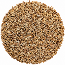 Komijnzaad voor kaas | 100 gram