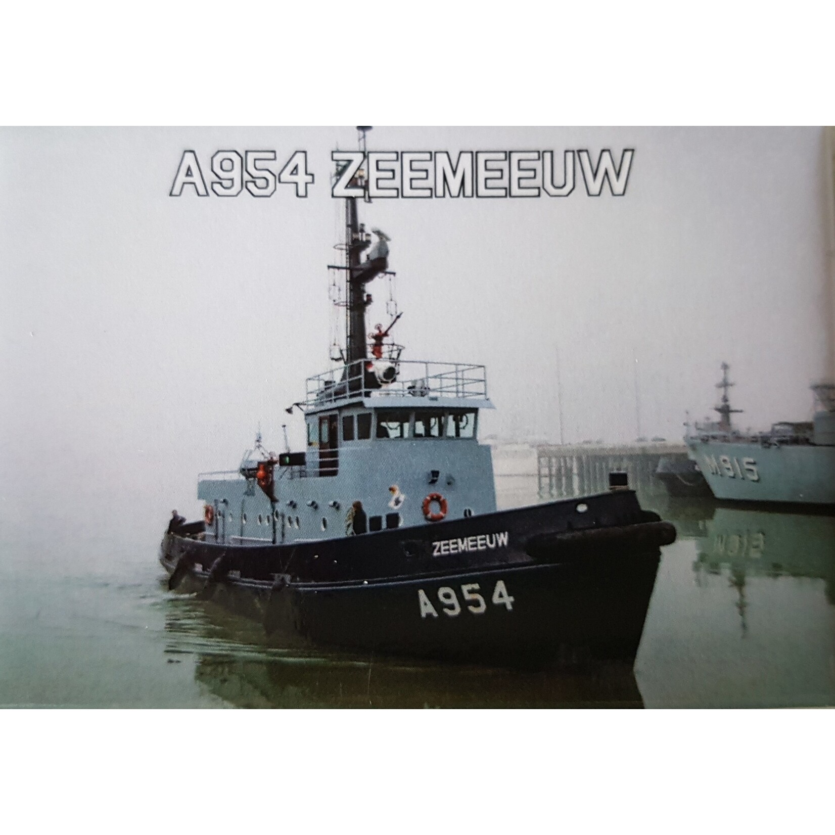 Fotomagneet  A954 Zeemeeuw