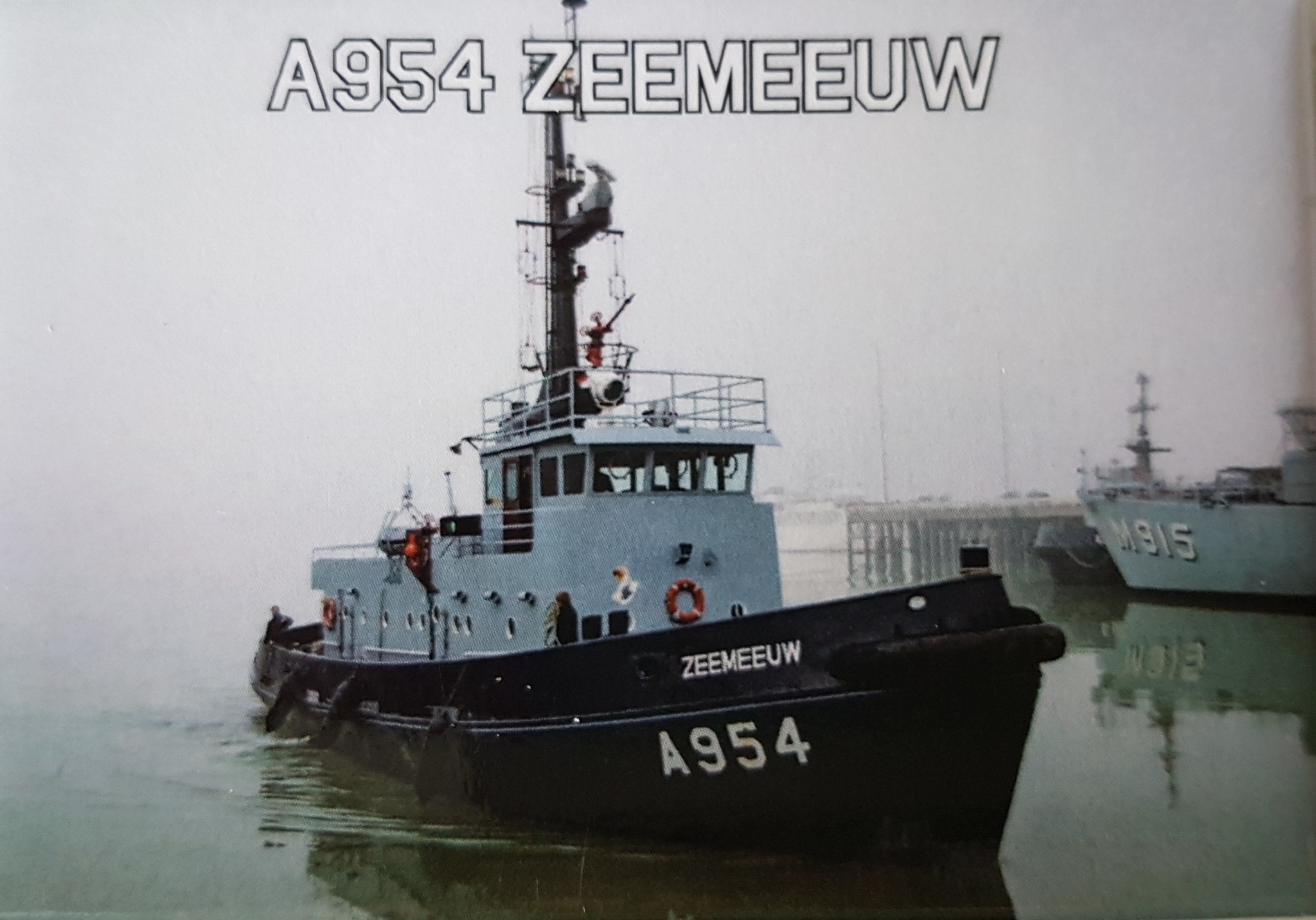 Fotomagneet  A954 Zeemeeuw