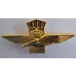 Pin hélicoptère