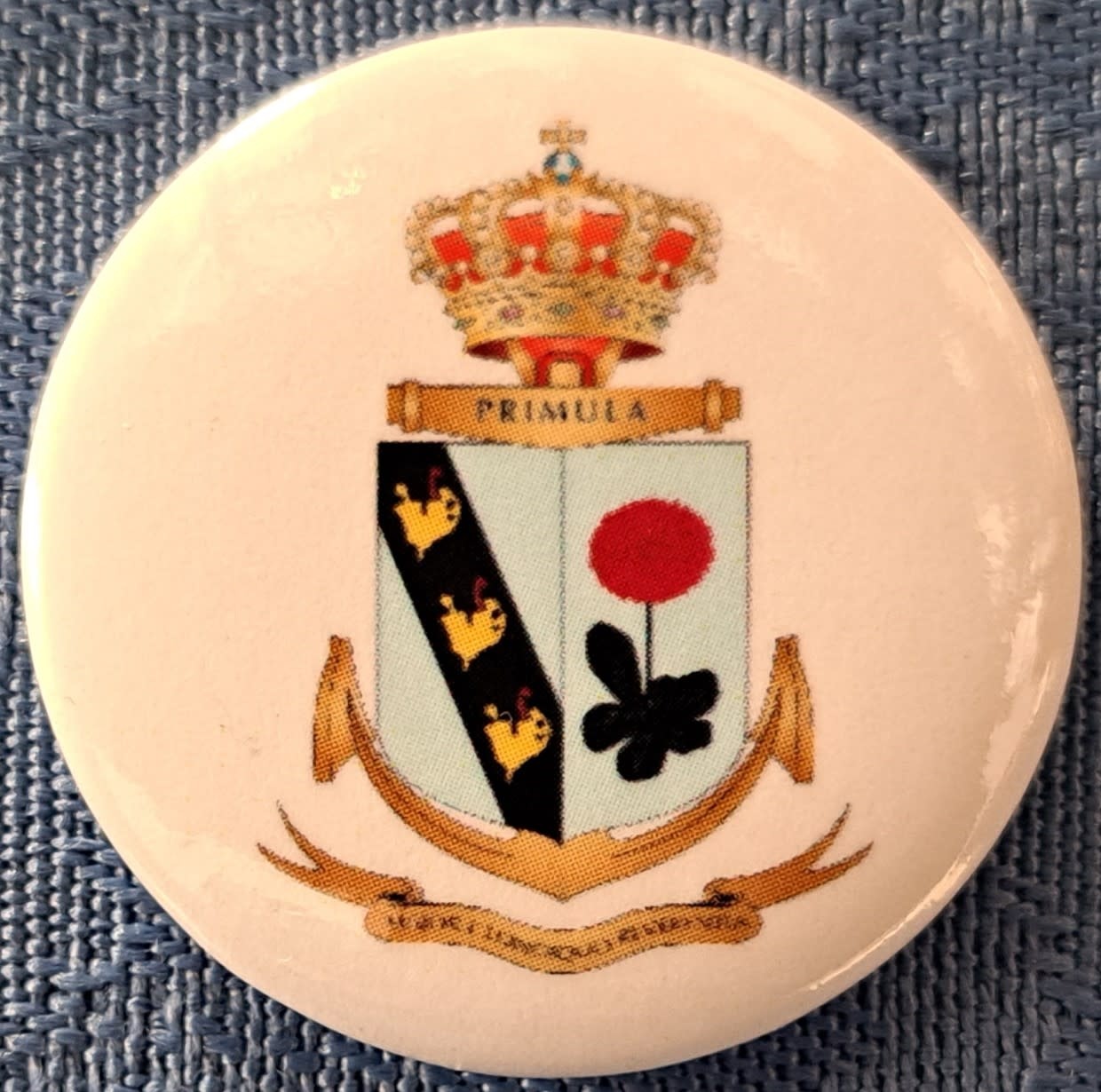 Buttons Koelkastmagneet Primula