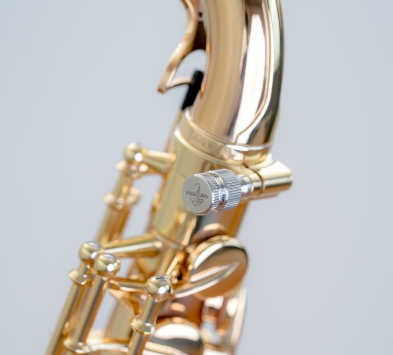 Yany Boostar Yanagisawa/Selmer Saxofoon "Goud"