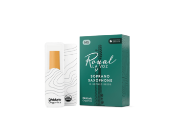D'Addario La Voz rieten sopraansaxofoon