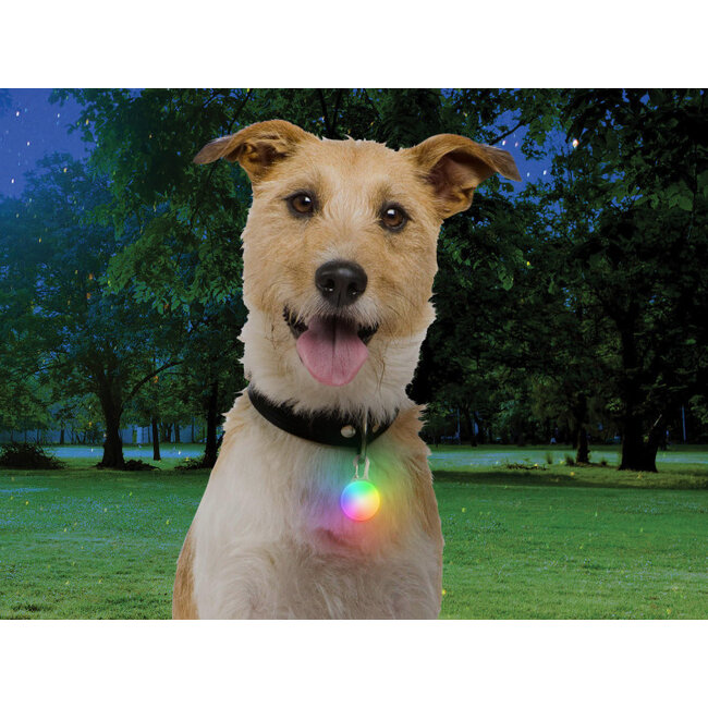 Nite Ize SpotLit Recheargable