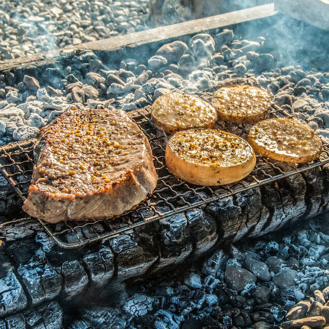 Pathfinder RVS Grill Large