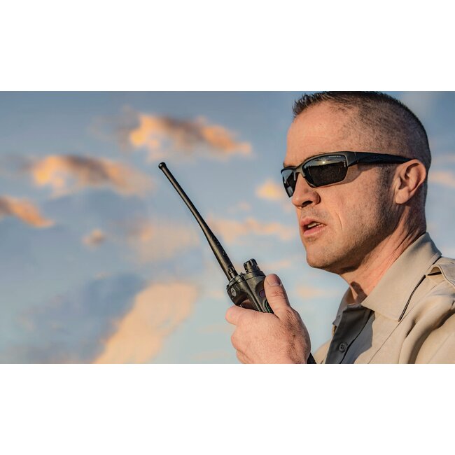 Wiley X WX VALOR 2.5 Grey