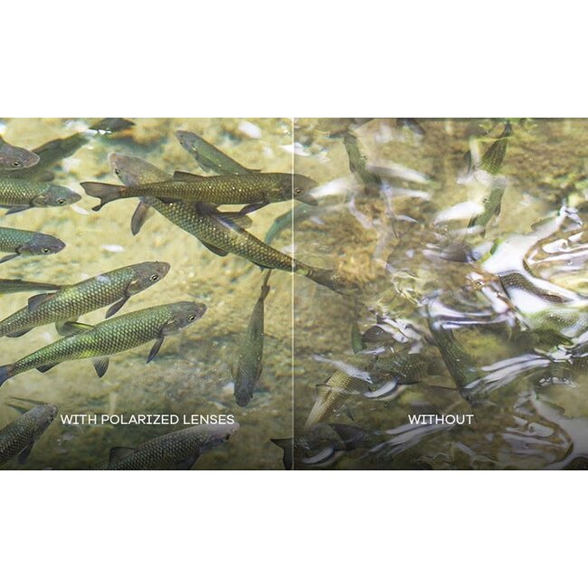 Wiley X WX GRID Captivate