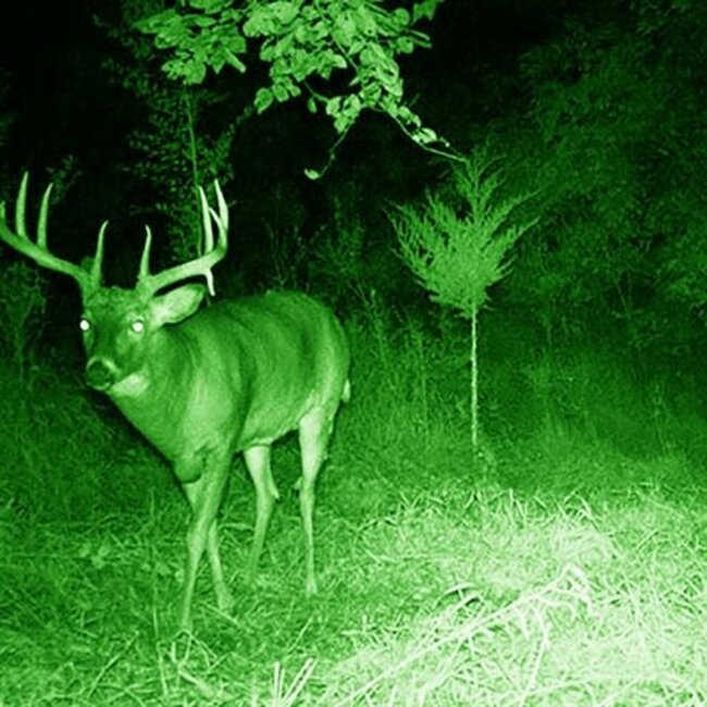 Luna Optics Luna Optics LN-G3-M44 Digitale Dag- en Nachtkijker 5-30x44 Gen-3