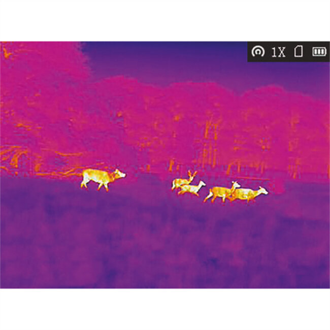 AGM Taipan TM15-384 Warmtebeeldcamera