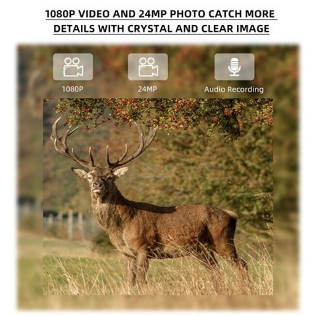 Stealth Gear Hedgehog 1080p 4G Wildcamera