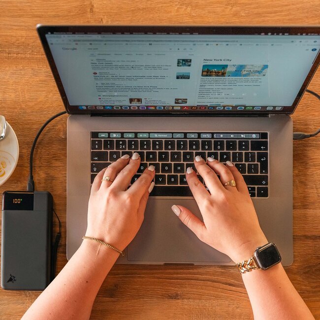 Aqilla Powerbird B20M 20000 mAh 65W