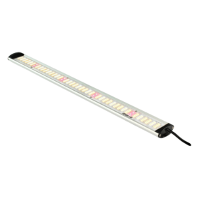 Apollo Falcon 60 PRO Apollo Falcon 60 PRO