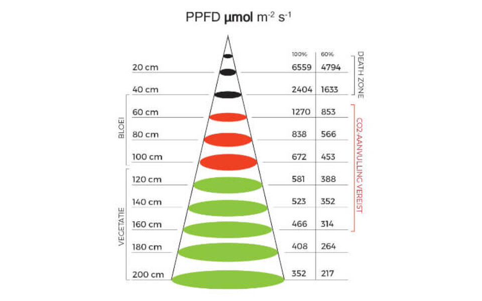 Spectro Light Spectro Light Blast 500 Limited Edition