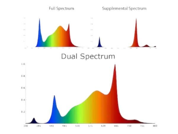 scrogmaster-pro-spectrum