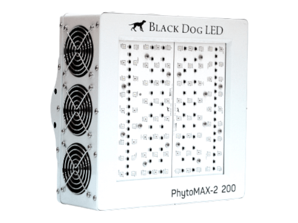 Black Dog Phytomax-2 200