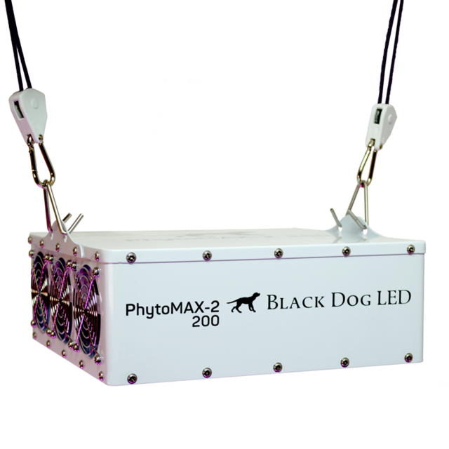 Black Dog LED Black Dog Phytomax-2 200