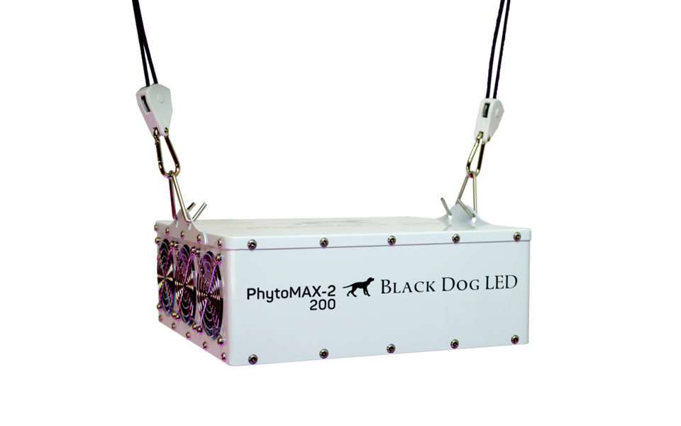 Black Dog LED Black Dog Phytomax-2 200