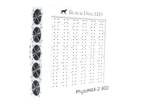Black Dog Phytomax-2 600