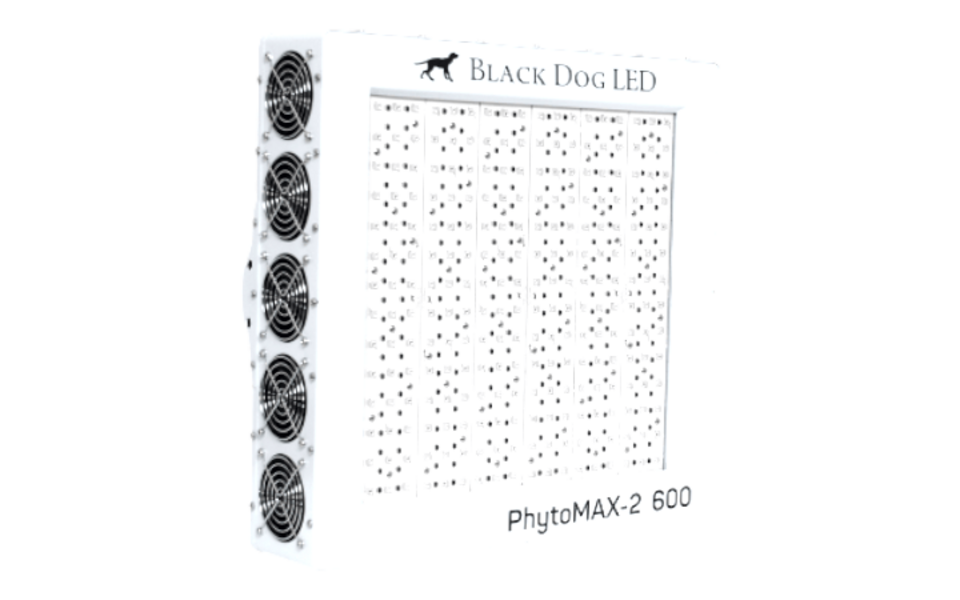 Black Dog LED Black Dog Phytomax-2 600