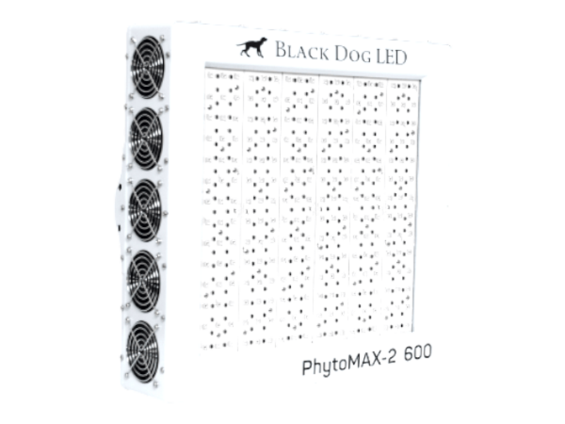 Black Dog LED Black Dog Phytomax-2 600