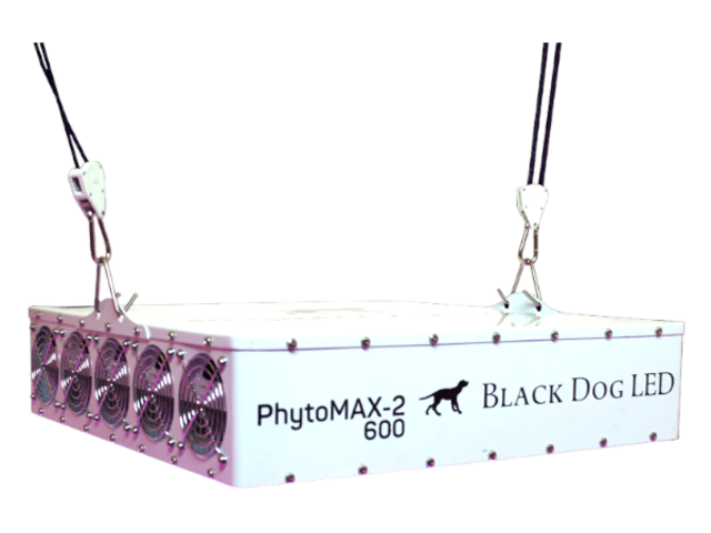 Black Dog LED Black Dog Phytomax-2 600