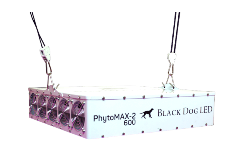 Black Dog LED Black Dog Phytomax-2 600