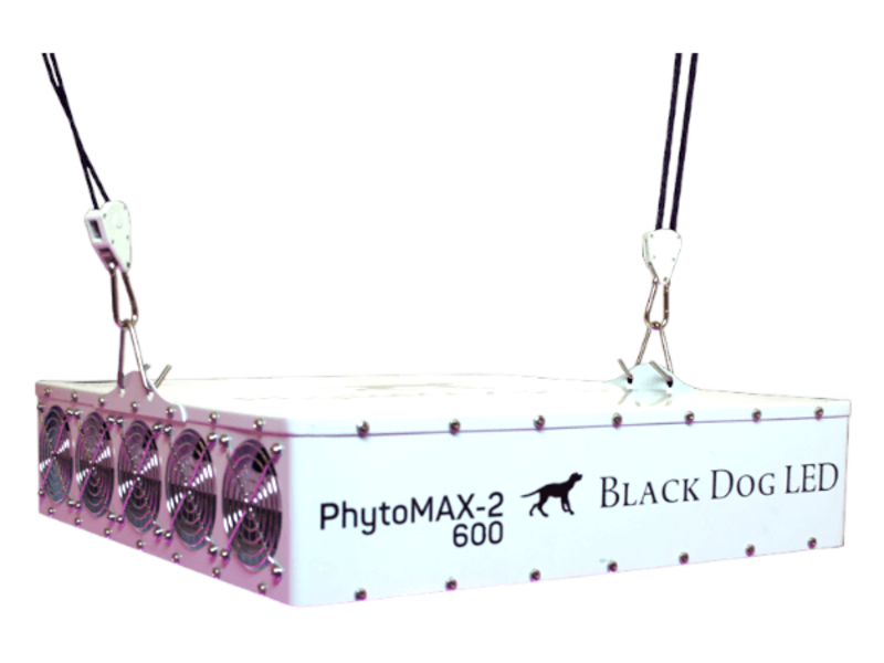 Black Dog LED Black Dog Phytomax-2 600