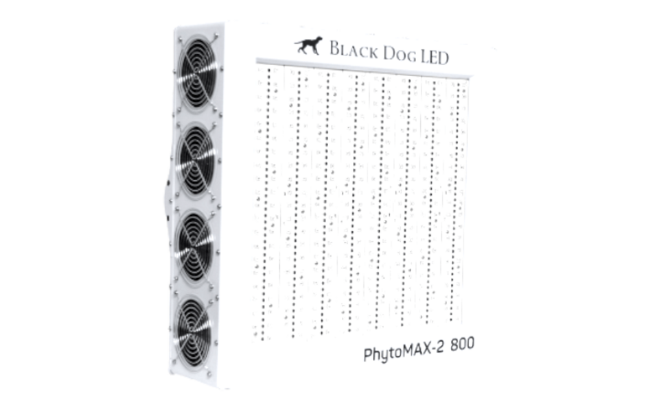 Black Dog LED Black Dog Phytomax-2 800