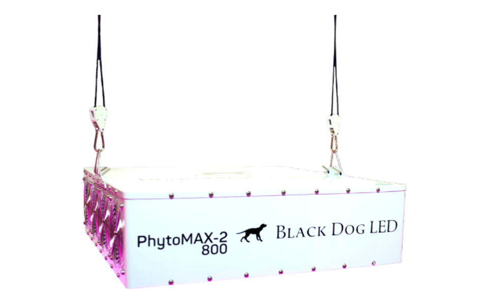Black Dog LED Black Dog Phytomax-2 800