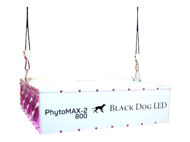 Black Dog LED Black Dog Phytomax-2 800