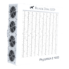 Black Dog Phytomax-2 1000