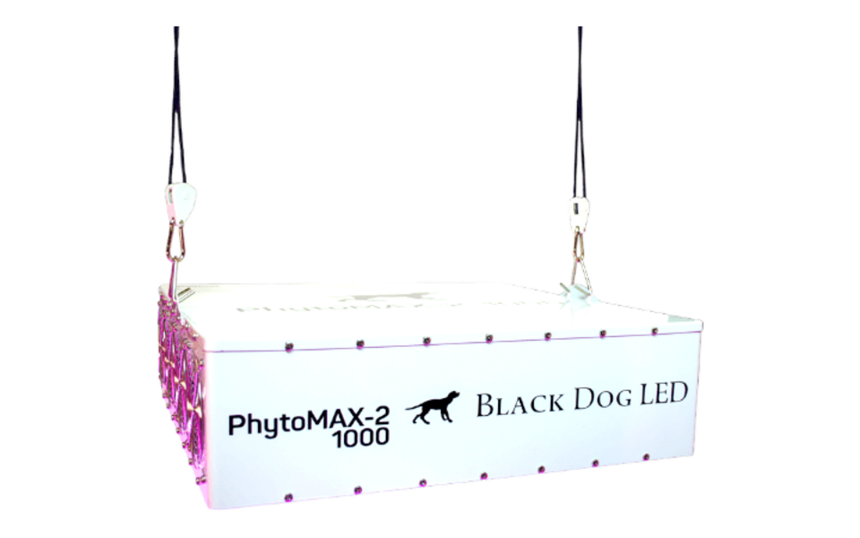 Black Dog LED Black Dog Phytomax-2 1000