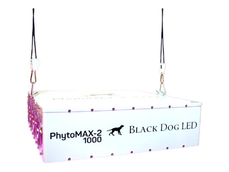 Black Dog LED Black Dog Phytomax-2 1000