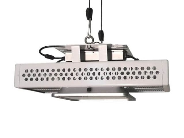 Spectrum King Spectrum King SK602+ GH