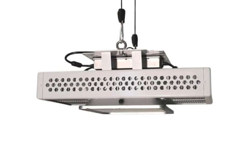 Spectrum King Spectrum King SK602+ GH