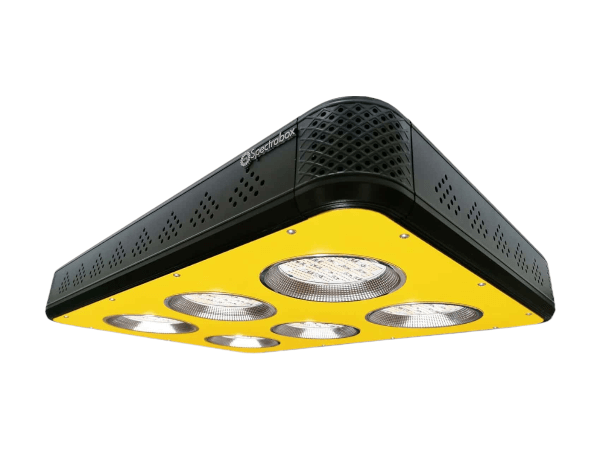 Spectrabox  600W Xtreme