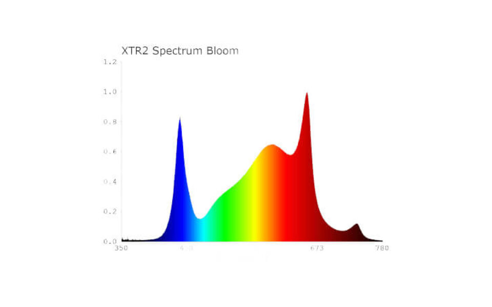 Spectrabox Spectrabox  600W Xtreme