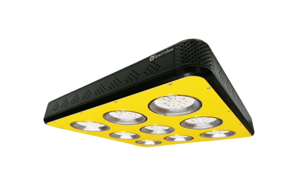 Spectrabox Spectrabox 900W Xtreme